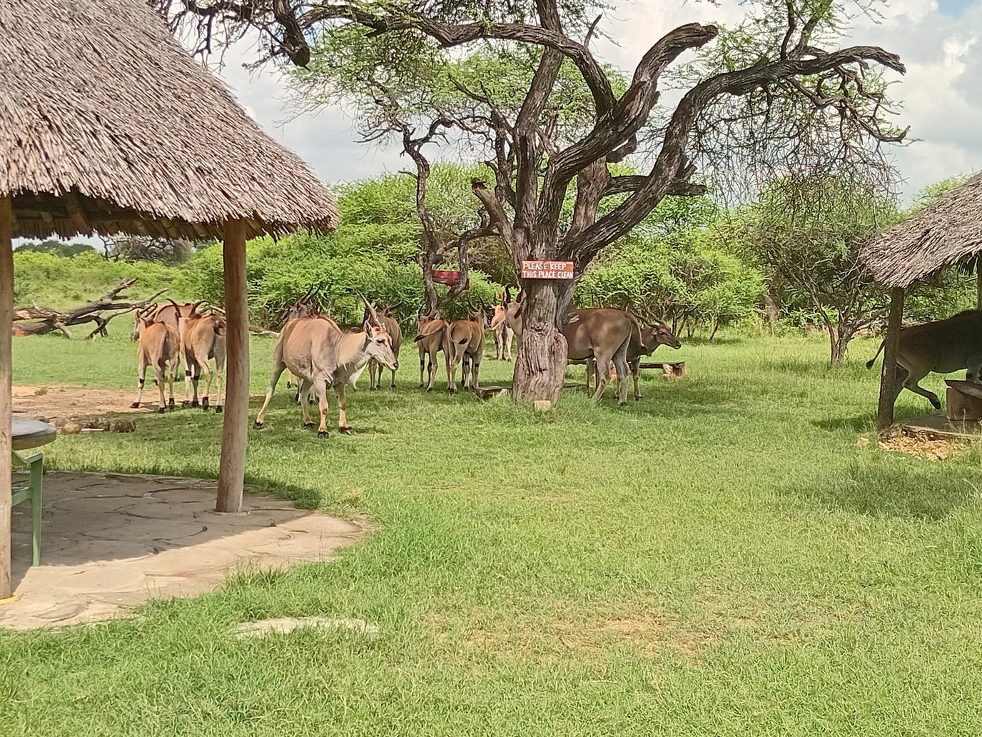 20251111_094634 - Copy.jpg