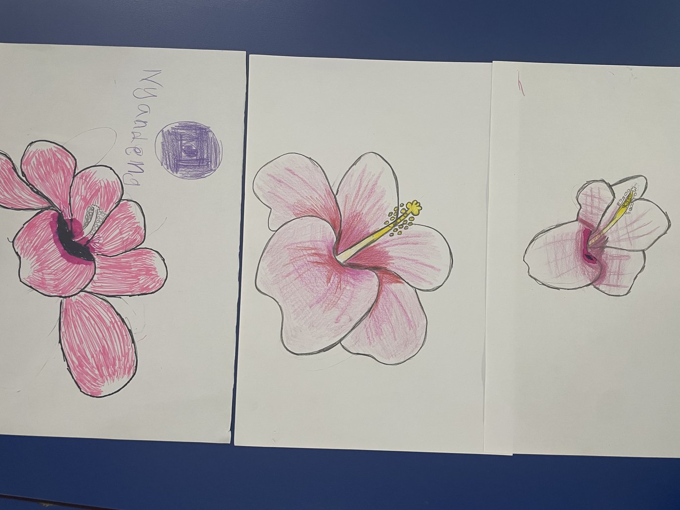 How to draw and colour a Hibiscus.jpeg