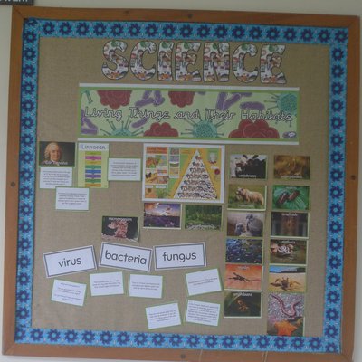 Y6 are learning about the Linnaean system of classification..JPG
