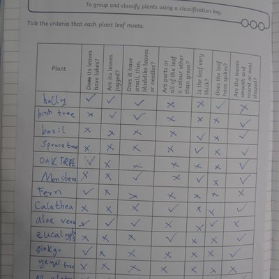 Y6 used criteria to observe different characteristics of non-flowering plants..JPG