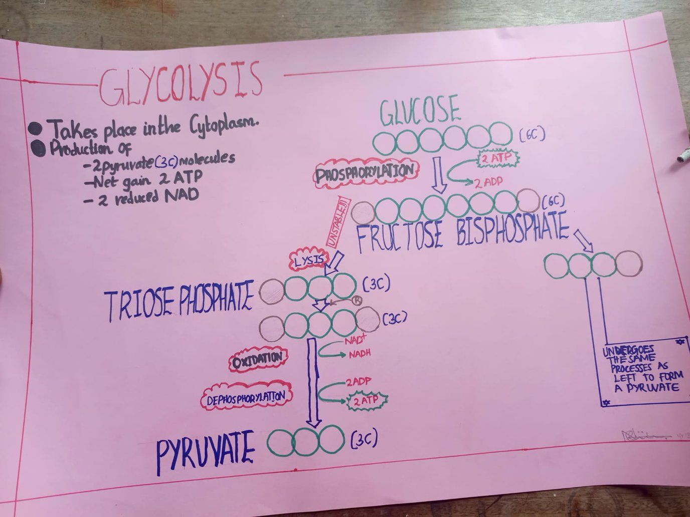 students work.jpg