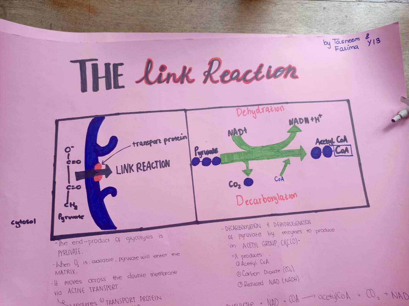 students work 1 .jpg