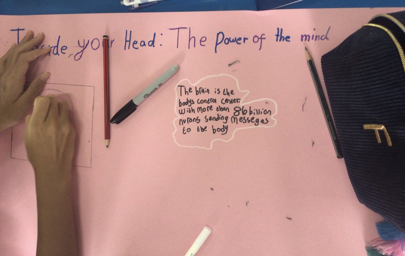 yr 7 science.jpeg